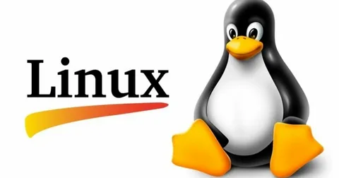 Linux Linux